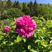 Claudette Adams - Facebook