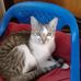 Claudette Barranco - Facebook