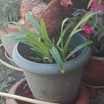 Claudette Barrier - @claudettebarrier - Instagram