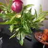 Claudette Genty - @claudette.genty - TikTok