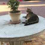 Claudette Raymond - @claudetteraymond48 - Instagram