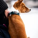 Claudette Roy - @claudetteroy716 - Instagram