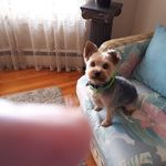 Claudette Tremblay - @claudette.tremblay.1293 - Instagram