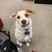 Claudette Weston - Facebook