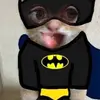 🦇claudia🦇batman🦇 - @claudia.real.batman - TikTok