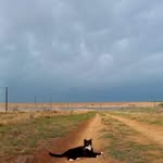 Claudia Baxter du Toit - @claudiadutoit - Instagram