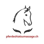 Claudia Beckmann Pferdemassage - @pferdeshiatsumassage - Instagram