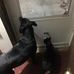 Claudia Bedell - Facebook