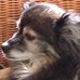 Claudia Lattner-Bendig - Facebook