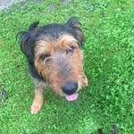 Claudia Benge - @benge9053 - Instagram