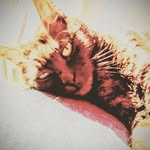Claudia - @claudia.bertozzi78 - Instagram