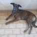 Claudio Bertozzi - Facebook