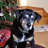 claudiabush323 - @claudiabush323 - TikTok