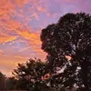 claudiabyrd71 - @claudiabyrd71 - TikTok