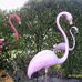 Claudia Case - Facebook