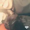 Claudia Cecili - @claudiacecili - TikTok