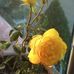 Claudia Cecilia Sanchez - Facebook