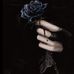 Claudia Chan - Facebook
