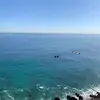 CC - @claudia.chui - TikTok