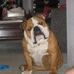Claudia Conner - Facebook