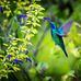 Claudia Conner - Facebook