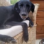 Claudia Cunningham - @claudiacunningham9900 - Instagram