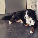 Claudia Donner - @claudia_donner_78 - Instagram