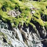 Claudia Donner - @donner6641 - Instagram