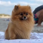 Peter-Claudia Donners - @peterclaudiadonners - Instagram