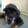 claudiadouglas67 - @claudiadouglas67 - TikTok