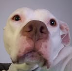Claudia R Denning - Facebook