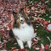 Claudia Edwards - Facebook