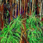 Claudia Ferrante - @claudiaferrante_art - Instagram