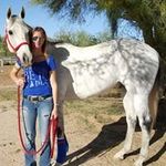 Claudia Folch - @horse_narr - Instagram