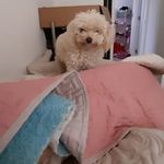 Claudia folch - @folchclaudia - Instagram