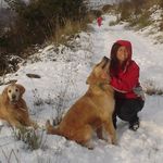 Claudia Folch Paiva - @clfolch - Instagram