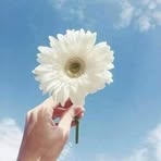 Claudia George - Facebook