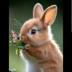 Claudia Gro - Facebook