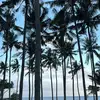 claudiaa.holmes - @claudiaa.holmes - TikTok