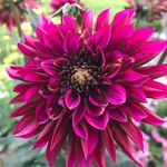Claudia Hopper - @claudiahopp53 - Instagram