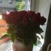 Claudia Kopp - Facebook