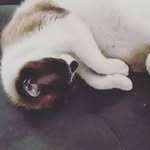 Cláudia Kopp - @claudia.kopp.902 - Instagram