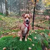 Claudia Kramer - @claudia.kramer6 - TikTok