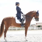 Claudia Lopes - @claudialopes_rider_and_trainer - Instagram