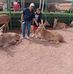 Claudia Maya - Facebook