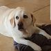 Claudia McCarthy - Facebook