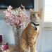 Claudia McDade - Facebook