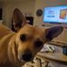 Claudia Kellett McNabb - Facebook