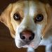 Claudia Mcphail - Facebook