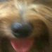 Claudia Meade - Facebook